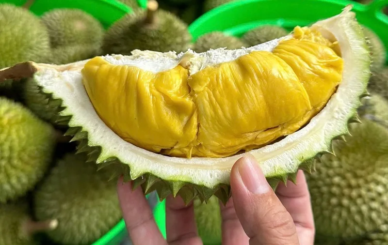 an sau rieng co tot khong tac dung va 3 dai ky can biet
