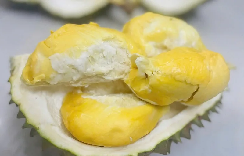 an sau rieng co tot khong tac dung va 3 dai ky can biet